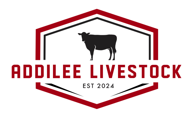 Logo Design/Branding