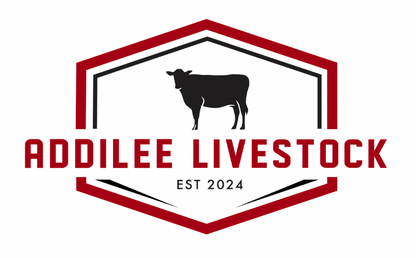 Logo Design/Branding