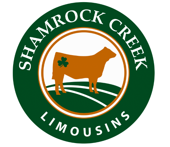 Logo Design/Branding