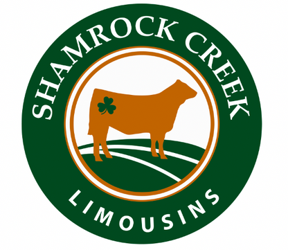 Logo Design/Branding