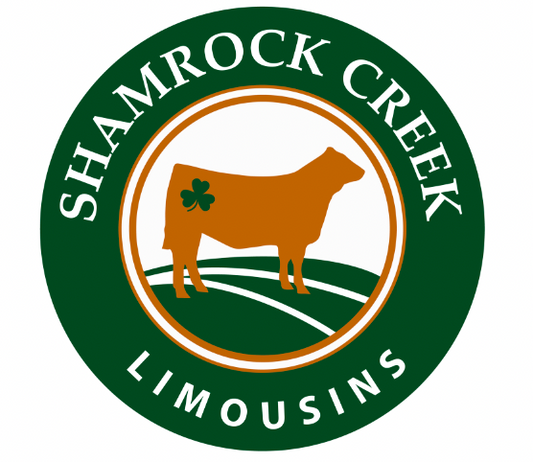 Logo Design/Branding